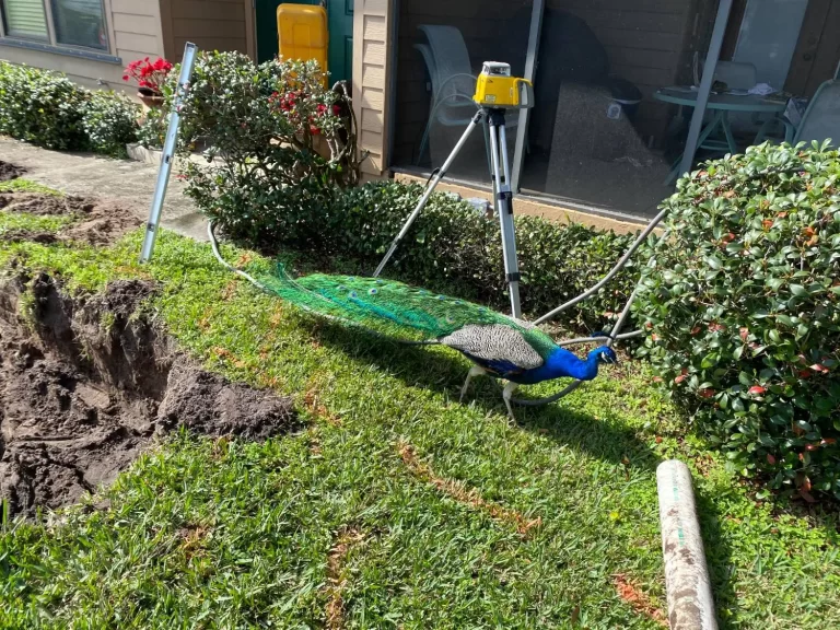 Drainfield Repair Merritt Island