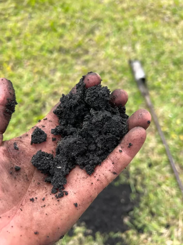 Drainfield Repair Merritt Island